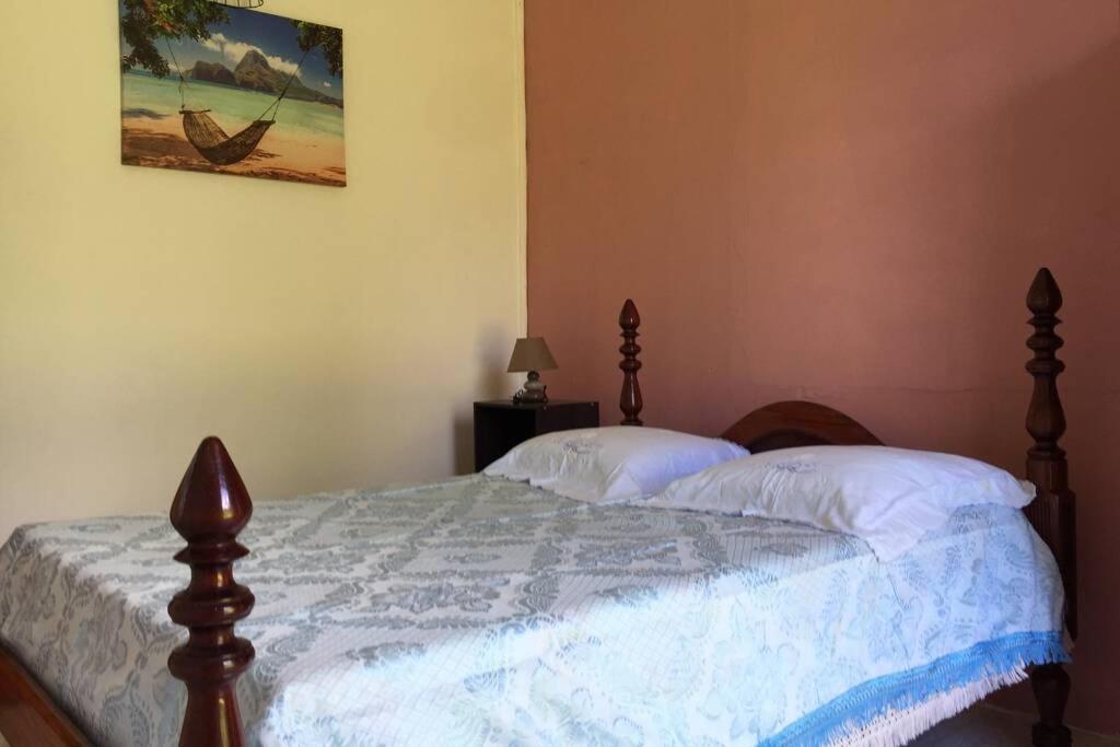 Logement En Pleine Verdure Tropicale -10 Min Plage Le Morne-Rouge Экстерьер фото