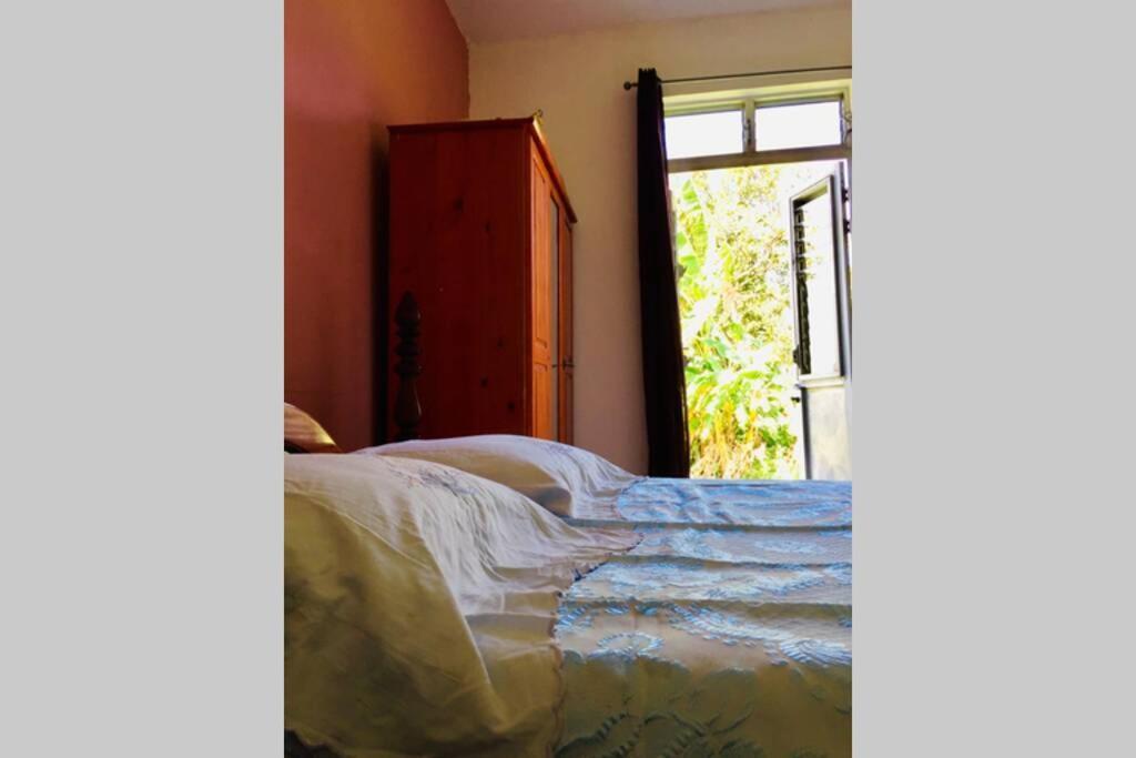 Logement En Pleine Verdure Tropicale -10 Min Plage Le Morne-Rouge Экстерьер фото